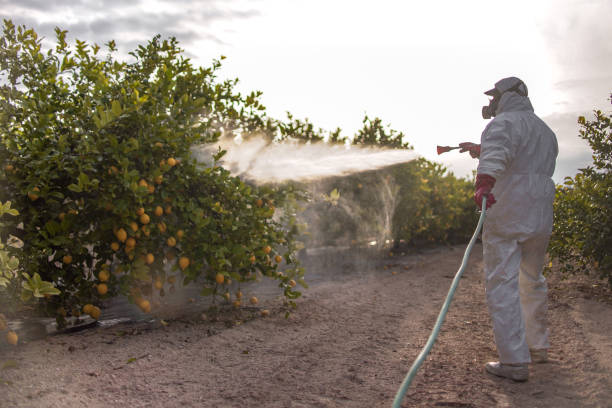 Best Emergency Pest Control  in Sans Souci, SC