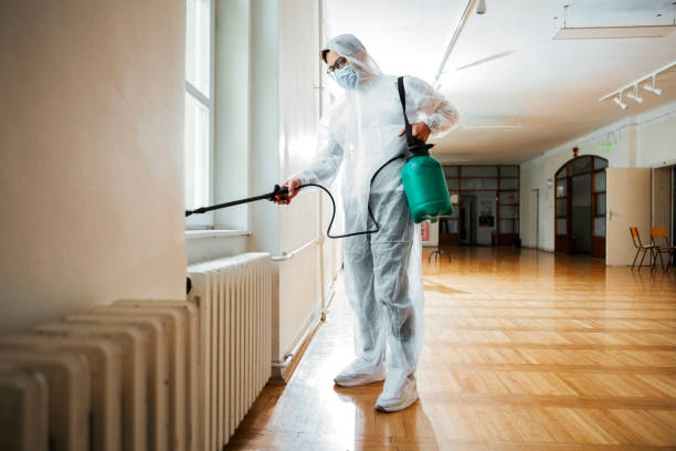 Flea Control Services in Sans Souci, SC