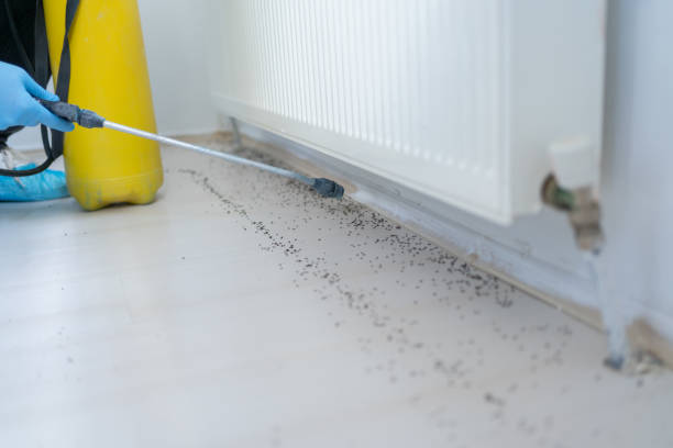 Best Wildlife Control Services  in Sans Souci, SC