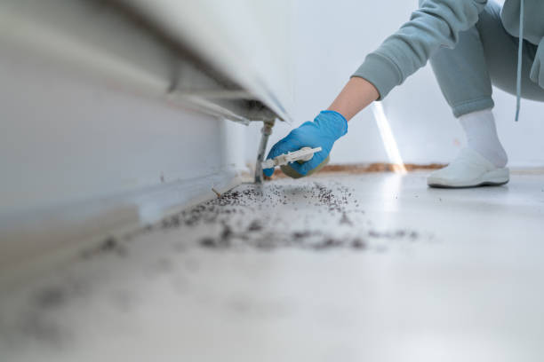 Best Insect Control  in Sans Souci, SC